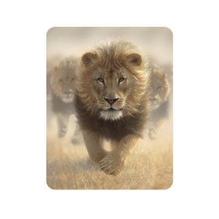 Obrázek z Magnet 3D 7x9cm - lev (25) 